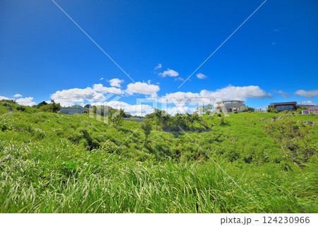 中国地方・秋吉台・秋吉台展望台の園地から見上げる展望台とジオパークセンター・山口県美弥市(2) 124230966