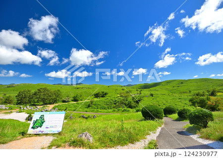 中国地方・秋吉台・カルストの雰囲気を手軽に楽しめる秋吉台展望台の園地の眺め・山口県美弥市(2) 124230977