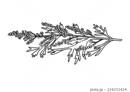 Line art medicinal plant isolated on white background. Hand drawn horizontal botanical outline stems, leaves, berries vector illustration. Graphic design element for Print Poster Birthday Invitation 124231424