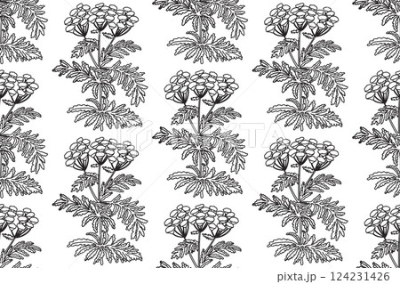 Line art botanical seamless plant pattern with flowers vector illustration. Black outline repeating floral pattern in white background. Graphic design for Fashion Cover Textile Coloring Page Birthday 124231426