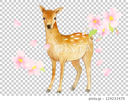 Watercolor illustration: Fawn in cherry blossom season 124231470