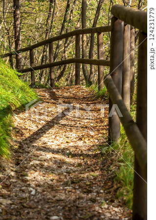 Pathway at Cadini del Brenton, Dolomites, Italy Pathway at Cadini del Brenton, Dolomites, Italy 124231779