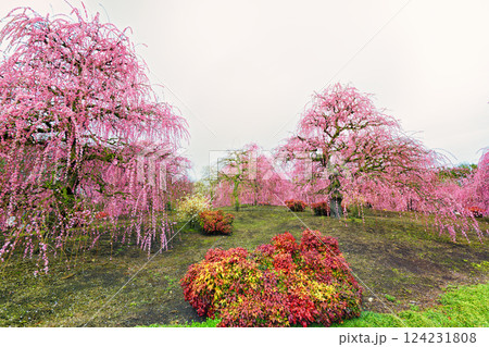 鈴鹿の森庭園2 鈴鹿の森庭園2 124231808