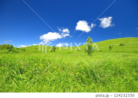 中国地方・秋吉台・秋吉台カルストロード、長者ヶ森駐車場、セグウェイのコースからの眺め・山口県美弥市 中国地方・秋吉台・秋吉台カルストロード、長者ヶ森駐車場、セグウェイのコースからの眺め・山口県美弥市 124232330