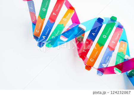 DNA molecule spiral structure model isolated on white background, chromosome and gene chemical science biology. 124232867