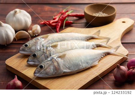 Raw fresh mackerel fish (short bodied mackerel ) on cutting board.Fresh seafood ingredients. 124233192