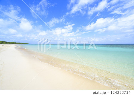 ニシ浜 日本一綺麗なビーチ 124233734