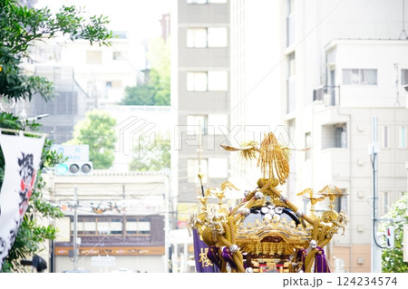 都心の祭りと神輿 124234574