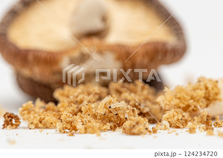 シイタケの中に寄生していた小さな幼虫たち　ボロボロに崩れた椎茸 124234720