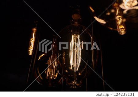 Decorative incandescent bulbs in Edison style on a brick wall background. Decorative incandescent bulbs in Edison style on a brick wall background. 124235131