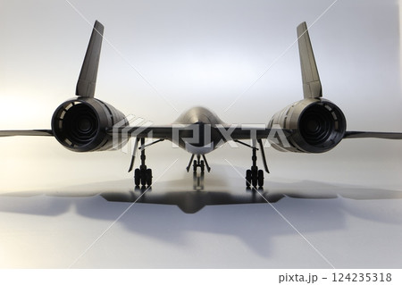 SR-71 124235318
