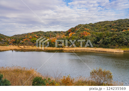 磐田市にある秋の桶ヶ谷沼の紅葉の風景(静岡県) 磐田市にある秋の桶ヶ谷沼の紅葉の風景(静岡県) 124235569