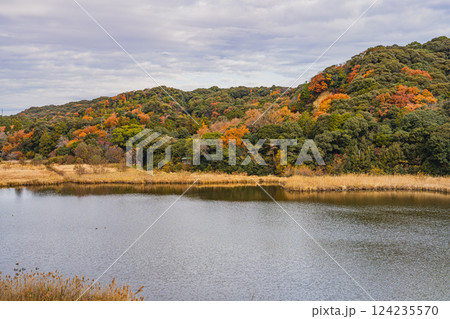 磐田市にある秋の桶ヶ谷沼の紅葉の風景(静岡県) 124235570