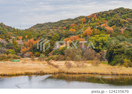 磐田市にある秋の桶ヶ谷沼の紅葉の風景(静岡県) 磐田市にある秋の桶ヶ谷沼の紅葉の風景(静岡県) 124235670