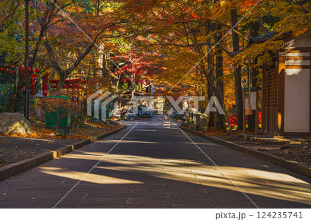 袋井市にある朝の紅葉に包まれた油山寺の参道の風景(静岡県) 124235741