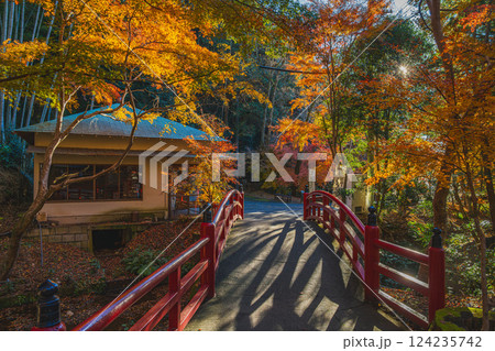 袋井市にある朝の紅葉に染まる油山寺の風景(静岡県) 124235742