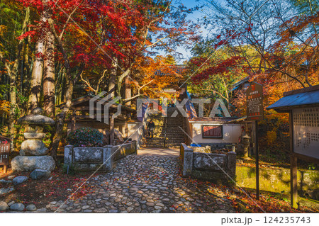 袋井市にある朝の参道から見た紅葉に包まれた油山寺の礼拝門の風景(静岡県) 124235743