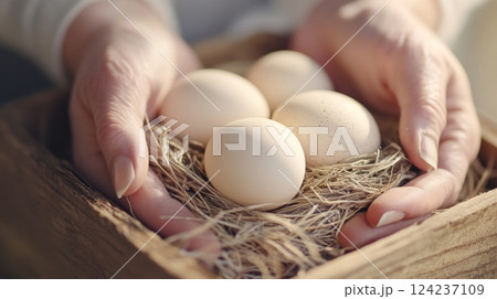Gentle hands gather freshly laid eggs from a cozy nesting box in natural light 124237109