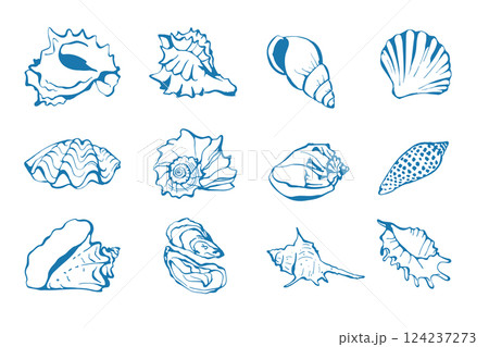 Hand drawn sea shells set in sketch style 124237273