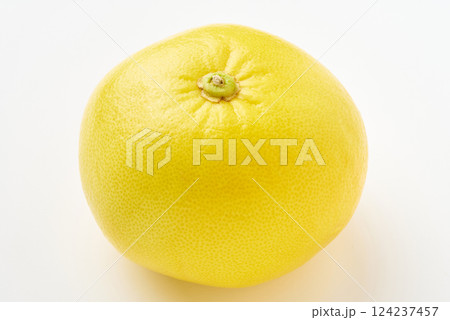みずみずしいグレープフルーツ みずみずしいグレープフルーツ 124237457