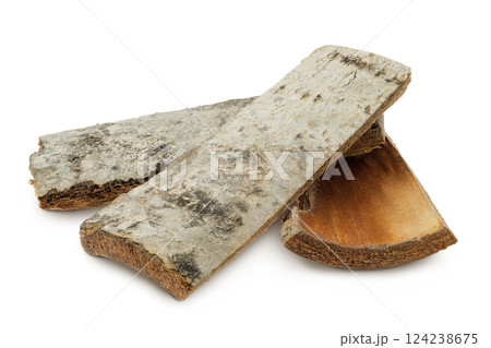 piece of aspen bark isolated on white background. 124238675