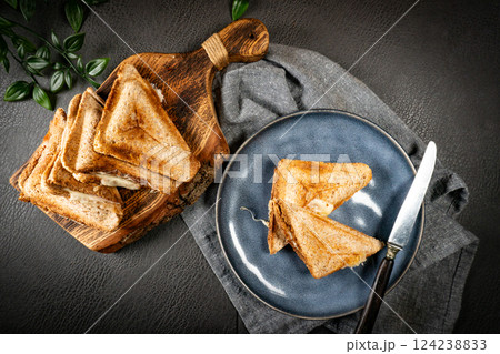 Grilled cheese sandwich. Grilled cheese sandwich. 124238833