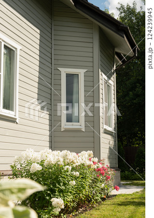 Contemporary gray two-story house of timber with bay window in countryside in summer. House have nice landscaping and flowers. Russian dacha in Moscow region. 124239945
