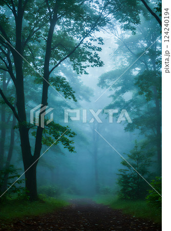 幻想的な霧に包まれた森、静寂の世界 124240194