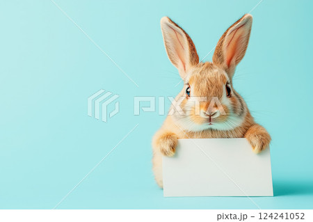 Cute rabbit holding empty blank on light blue background 124241052