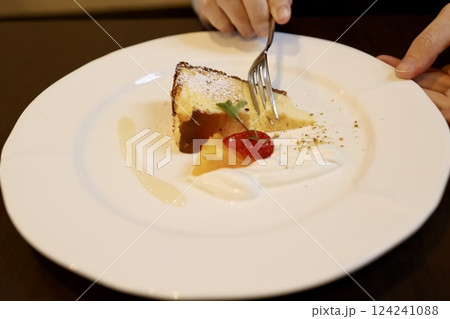 チーズケーキ チーズケーキ 124241088