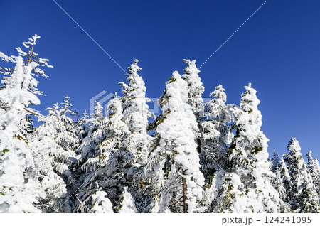 快晴の空と雪景色（黒斑山・雪山登山） 124241095