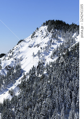 黒斑山稜線の雪景色・絶景 黒斑山稜線の雪景色・絶景 124241105