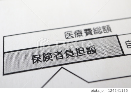 医療費の保険者負担額に関する書類 124241156