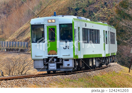 埼玉県内で唯一の非電化路線『八高線』を征く… キハ110系 124241203