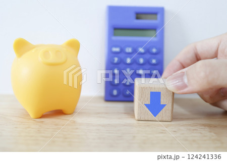 豚の貯金箱と下向きの矢印 豚の貯金箱と下向きの矢印 124241336