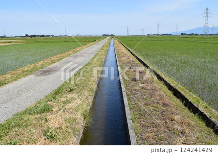 農道と農業用水路 田園風景 農道と農業用水路 田園風景 124241429