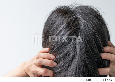 白髪混じりの日本女性の髪　アホ毛が白髪 124241623
