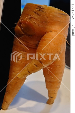 美味しい人参 124241681