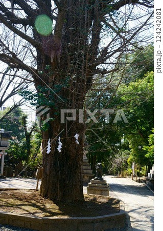 7741 鳩森八幡神社 7741 鳩森八幡神社 124242081