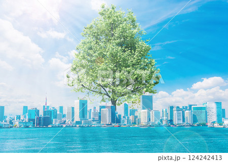 東京の都市風景と大樹の成長イメージ 東京の都市風景と大樹の成長イメージ 124242413