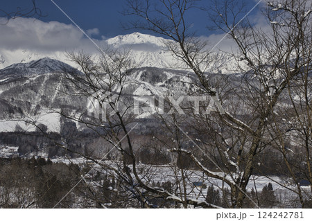 野平から見る白馬岳と岩岳スキー場　長野県白馬村 124242781