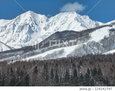 栂池高原スキー場と杓子岳・白馬槍ヶ岳と杓子沢雪渓　長野県小谷村（ドローンによる空撮） 124242797