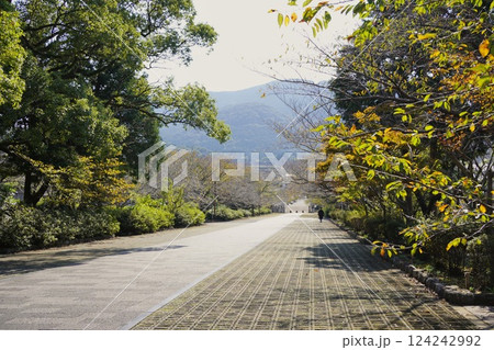 橘神社の遊歩道 124242992