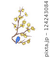 ロウバイの花と青い鳥 124243084