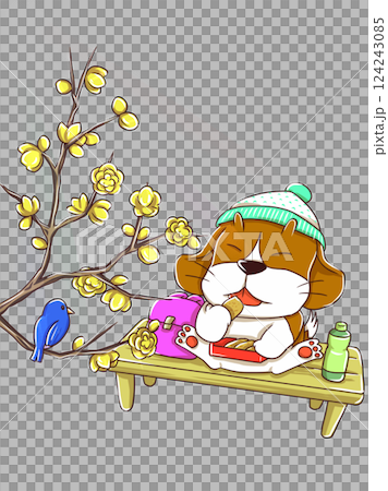 ロウバイの花とお弁当を食べるビーグル犬 124243085