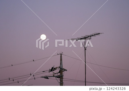 満月に向かってすっくと立ったあの姿。テレビアンテナよ、今日もいいもの見せてくれ。 満月に向かってすっくと立ったあの姿。テレビアンテナよ、今日もいいもの見せてくれ。 124243326