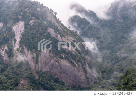 神が宿る山　まるで水墨画　世界自然遺産屋久島(秋 124243427
