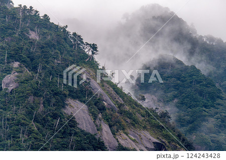 神が宿る山 まるで水墨画 世界自然遺産屋久島(秋 神が宿る山 まるで水墨画 世界自然遺産屋久島(秋 124243428