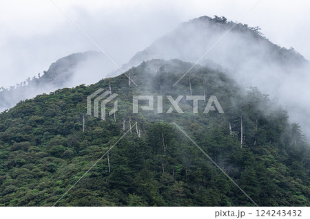 屋久島世界自然遺産の絶景(10月)幻想的で神秘的な山々 124243432