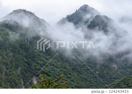 神が宿る山　まるで水墨画　世界自然遺産屋久島(秋 124243433